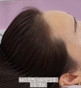 릿따 스타일 이미지