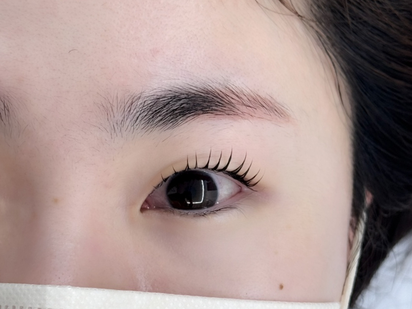 와니속눈썹 이미지