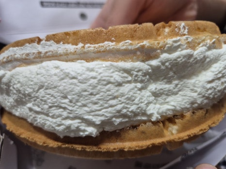 카페인중독숙대 이미지