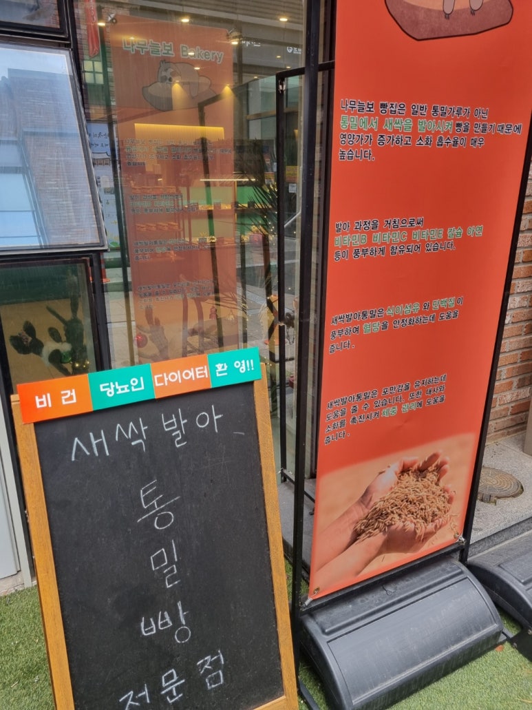 나무늘보 베이커리 이미지