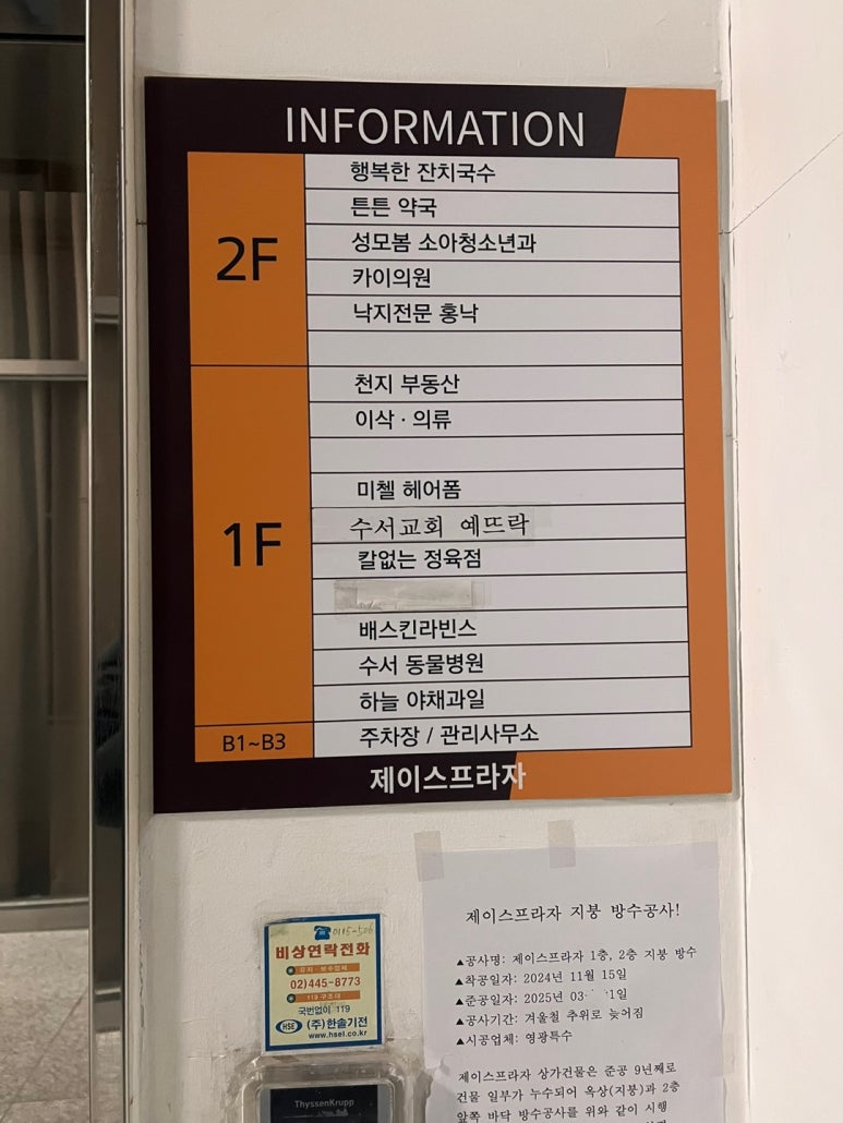 낙지무교동홍낙 이미지