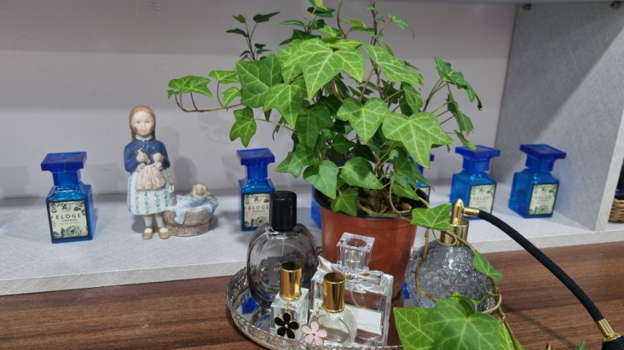 라메르향수공방 이미지