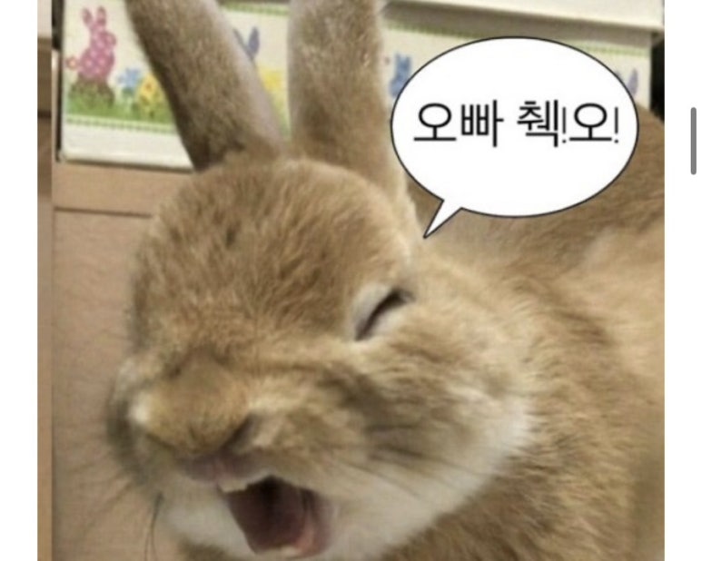 에버그린캠핑장 이미지