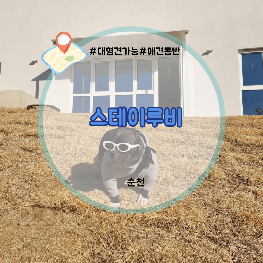 스테이루비 이미지