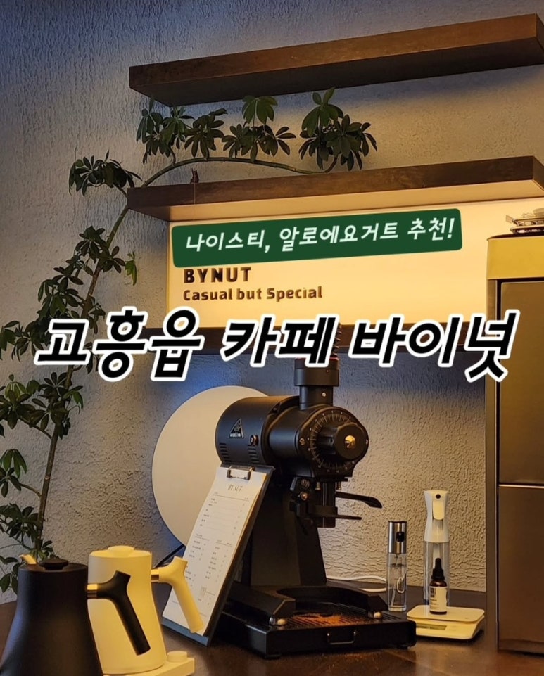 바이넛(BYNUT) 이미지