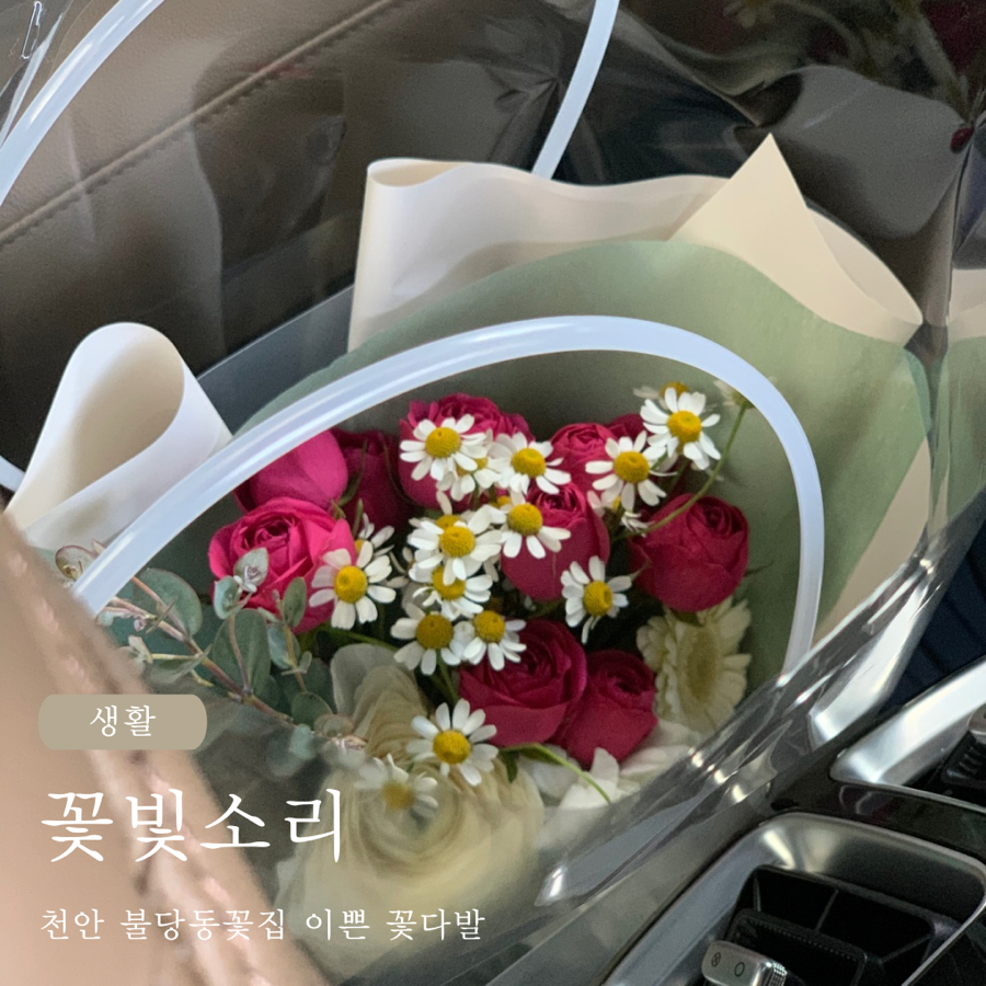 꽃빛소리 이미지