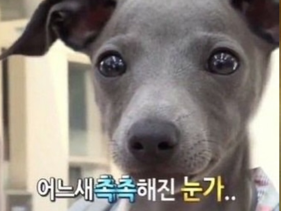 취중진담 이미지