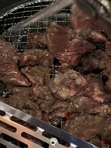 강동갈빗살 이미지