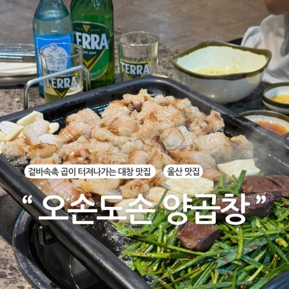 오손도손양곱창 이미지