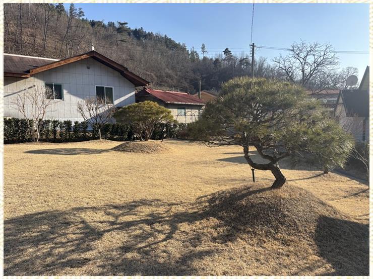라파엘메디케어 이미지