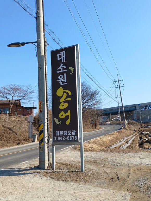 대소원송어 이미지