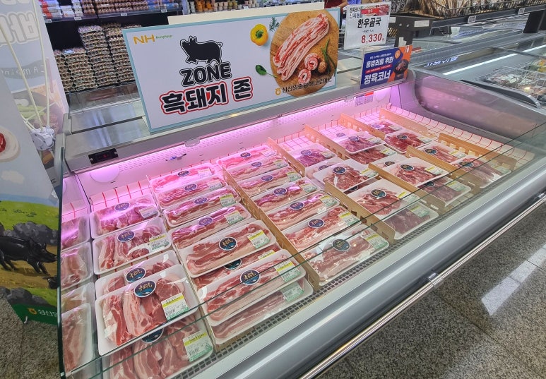 돼지zone 이미지