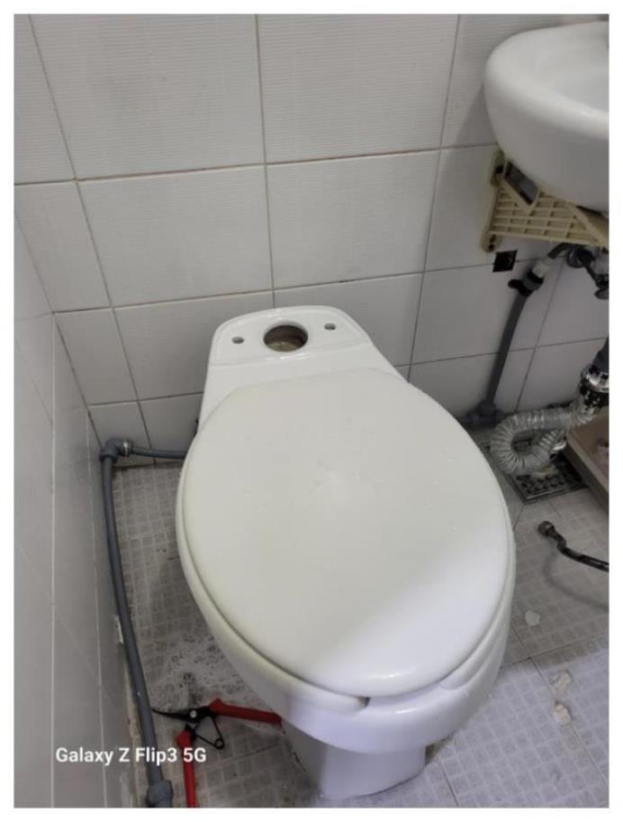 케어의신 이미지