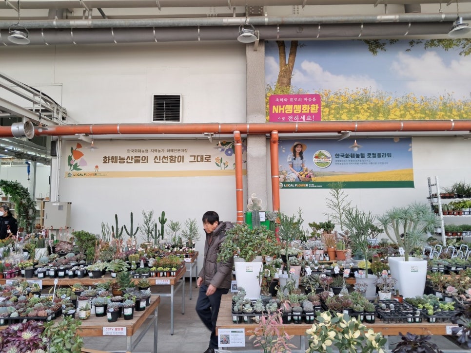 한국꽃직매장 이미지
