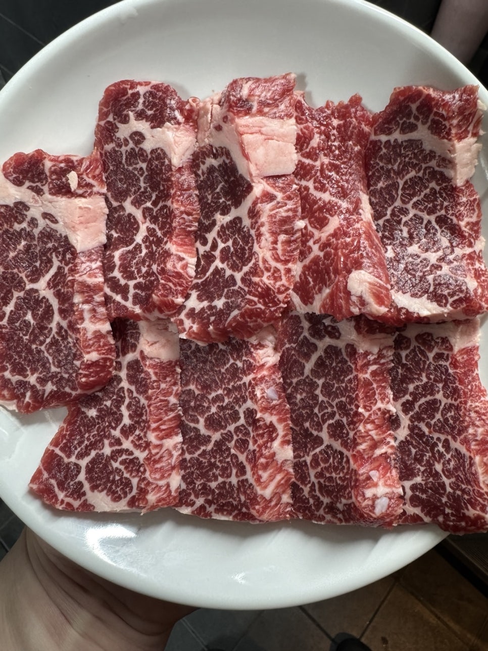 강동갈빗살 이미지