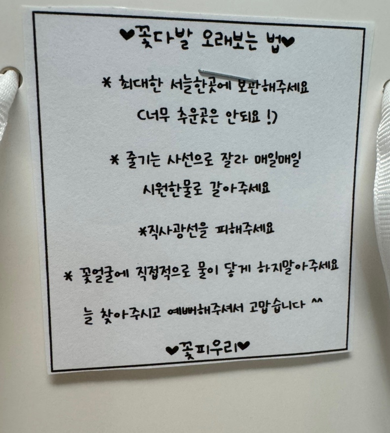 꽃피우리 이미지
