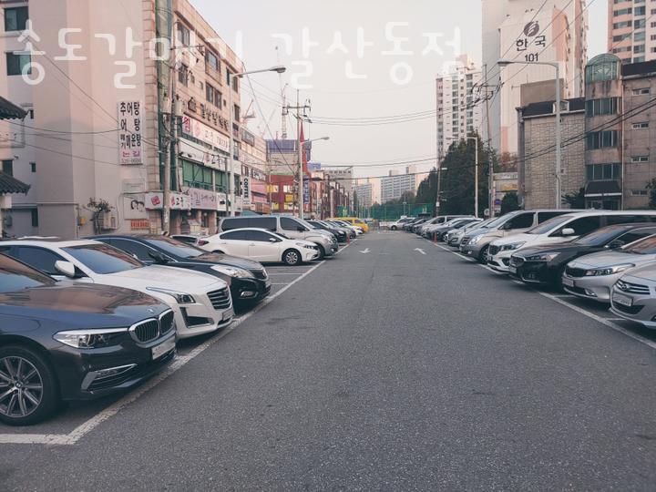 송도갈매기 이미지