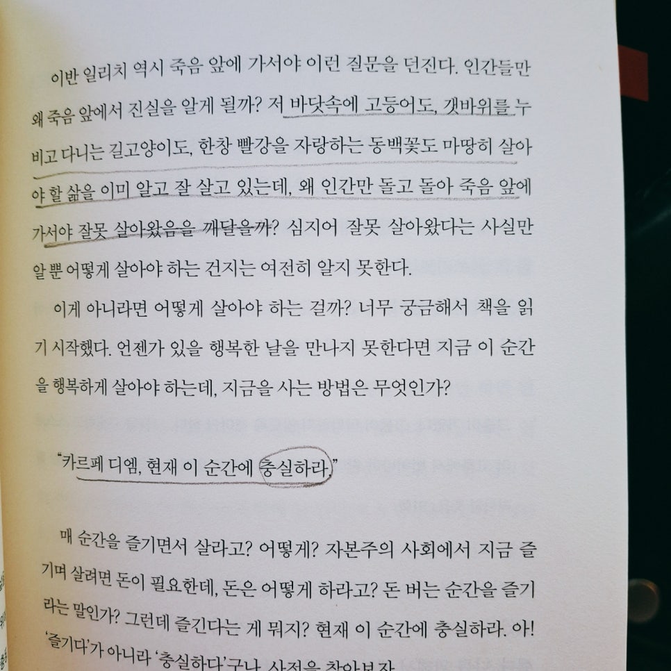 감사의 힘 이미지