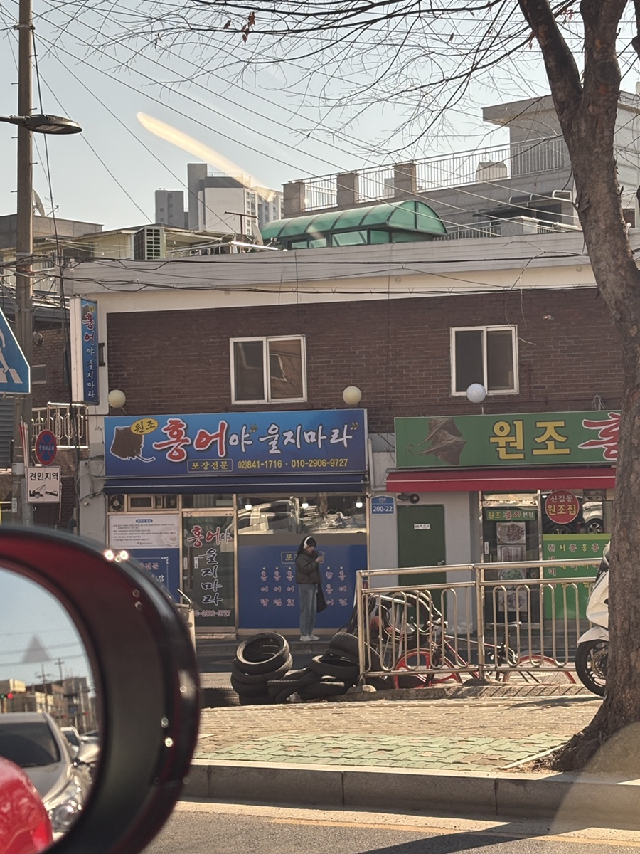 홍어야울지마라 이미지