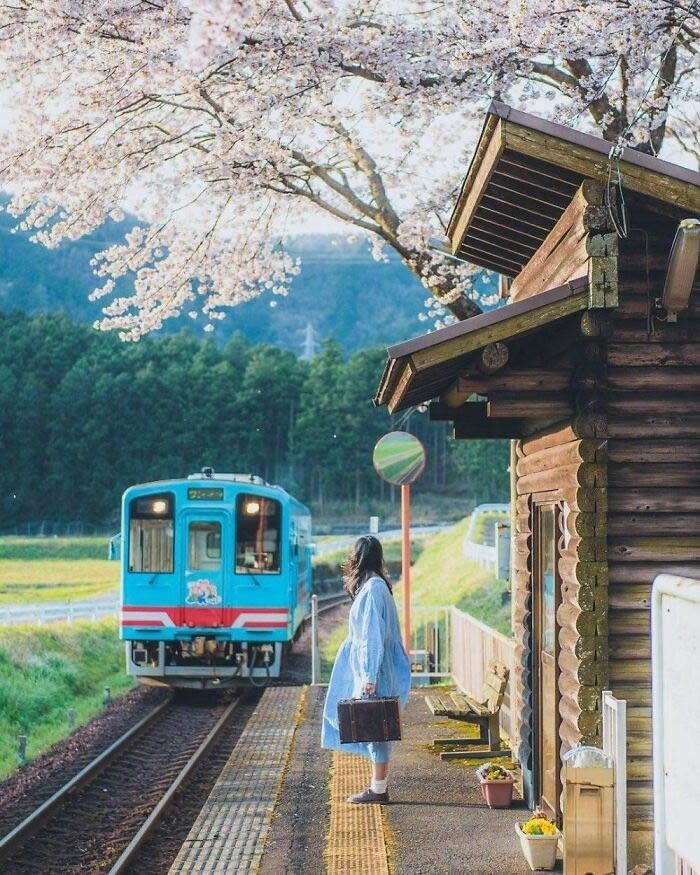 가야학원 이미지