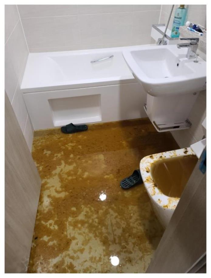 케어의신 이미지