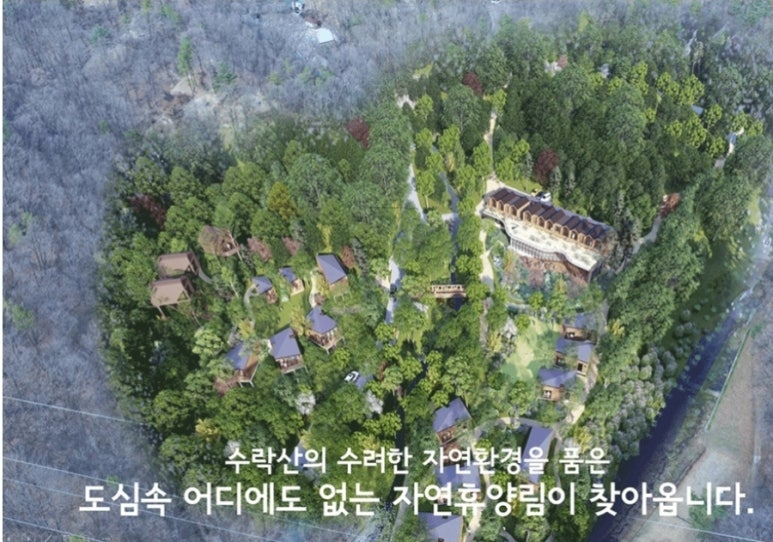 수락숲이랑 이미지
