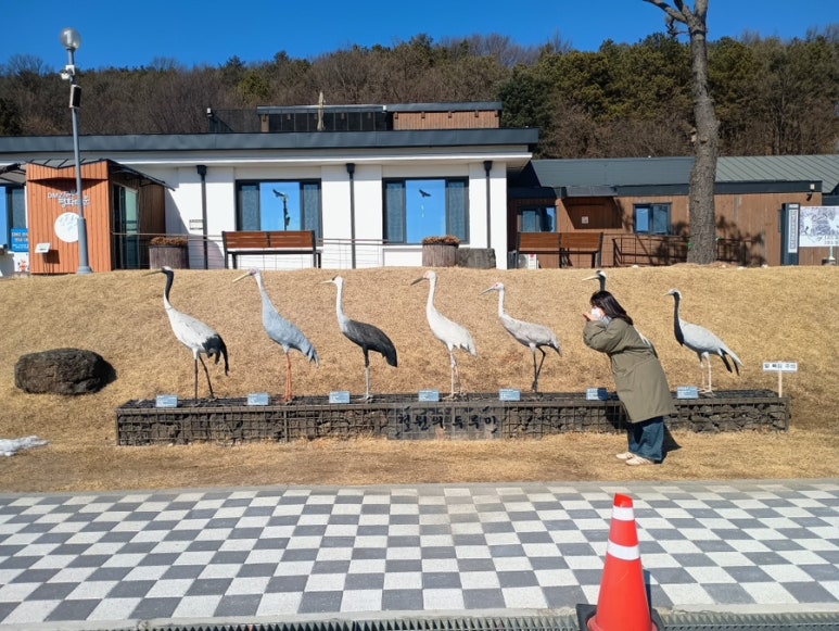 두루미컷 이미지