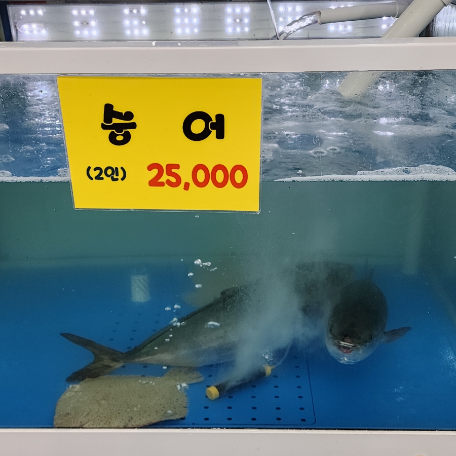 신기종합어시장회포장 이미지