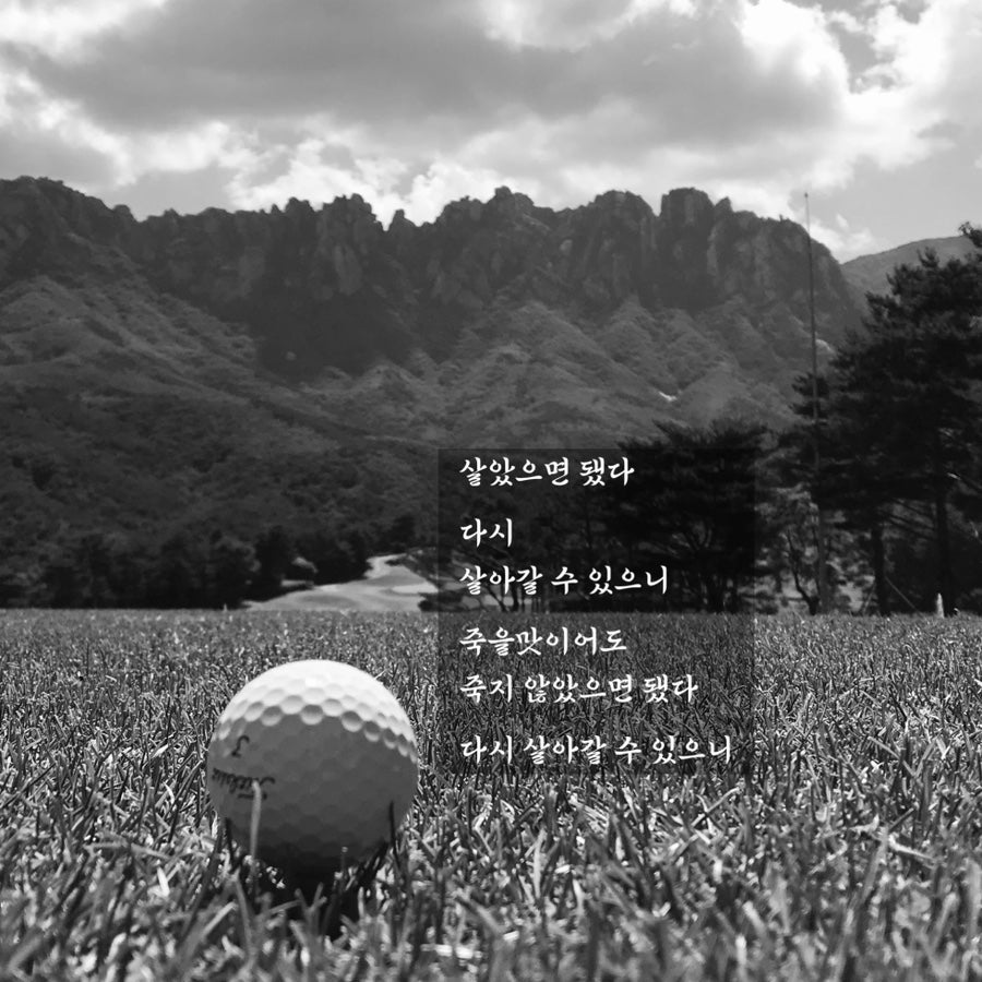집요한사람들 이미지