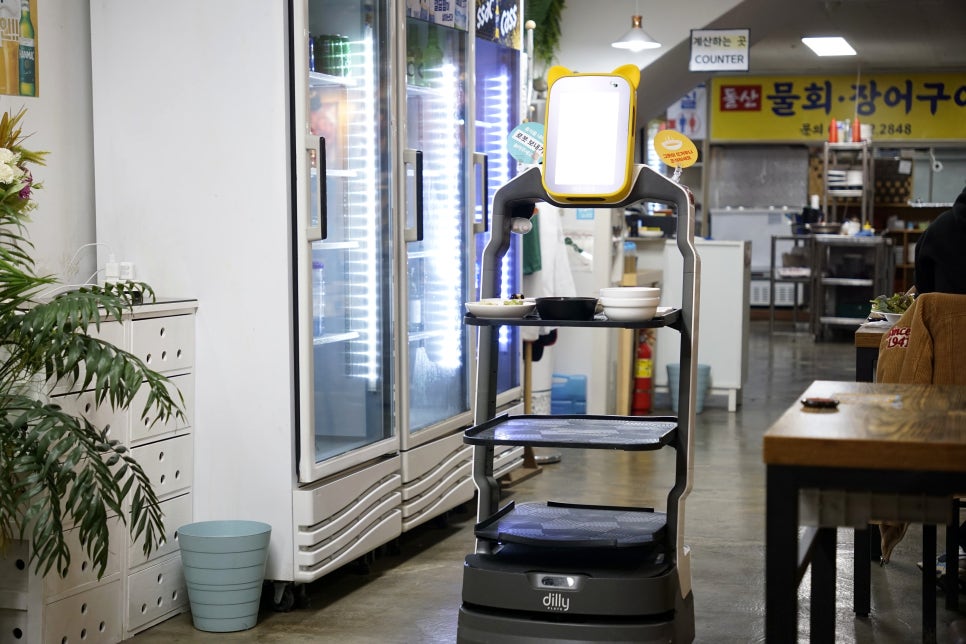 돌산아나고 이미지