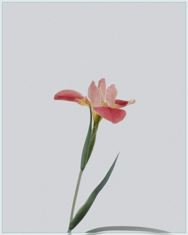 소중한순간 이미지