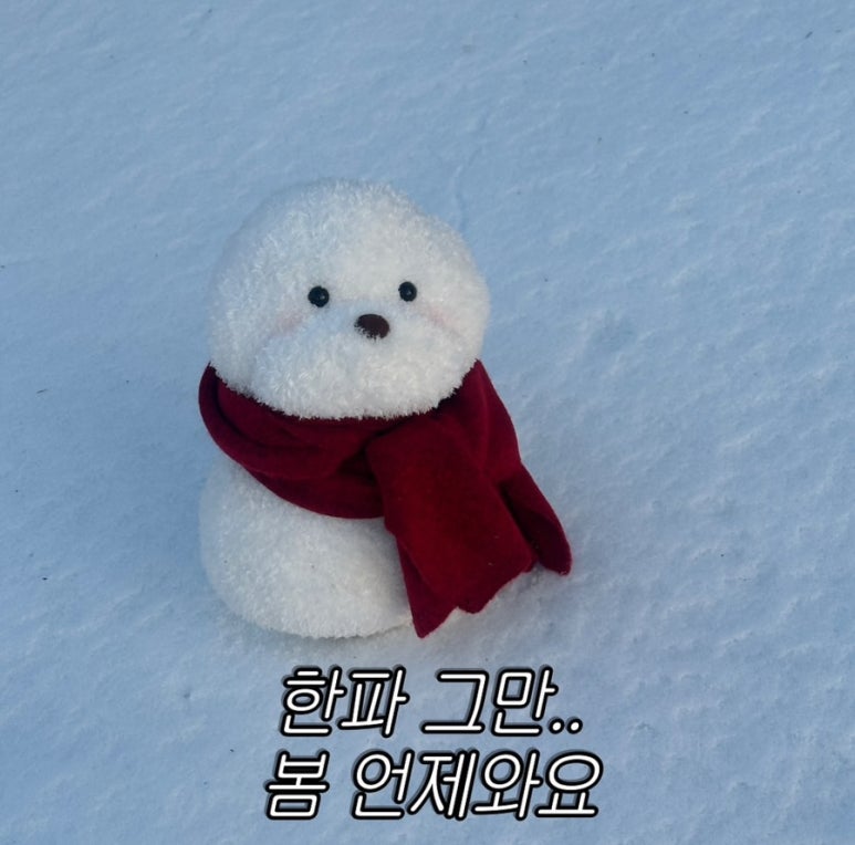 섬타르서울숲 이미지