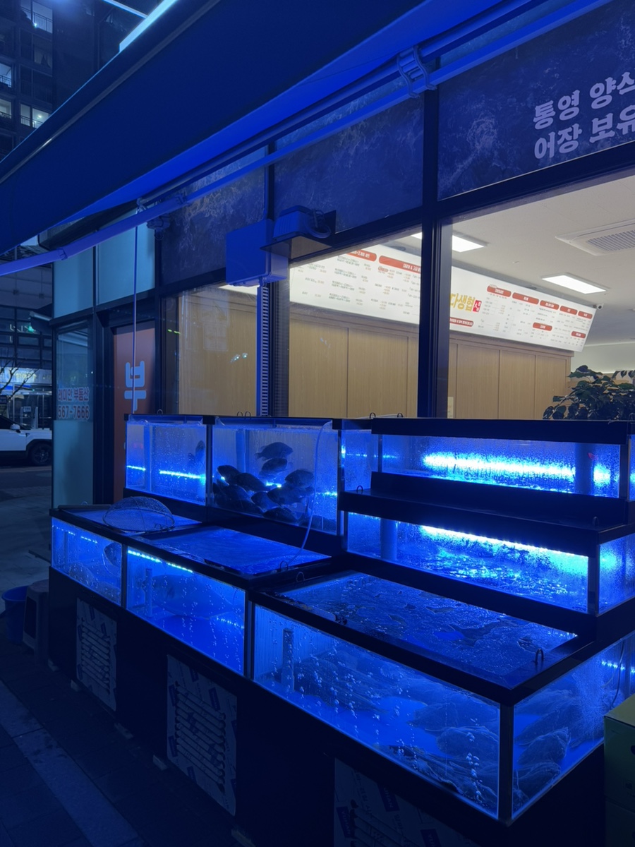 바다생협대광어강남 이미지