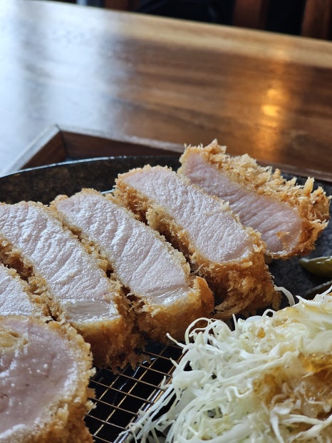 카츠닉 이미지