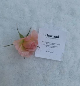 플레르앤드 이미지