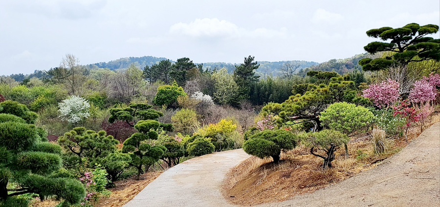 사천농원 이미지