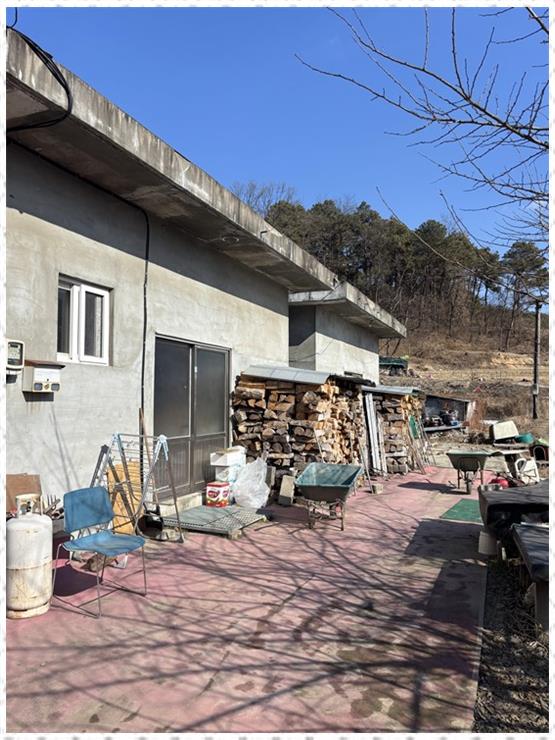 라파엘메디케어 이미지