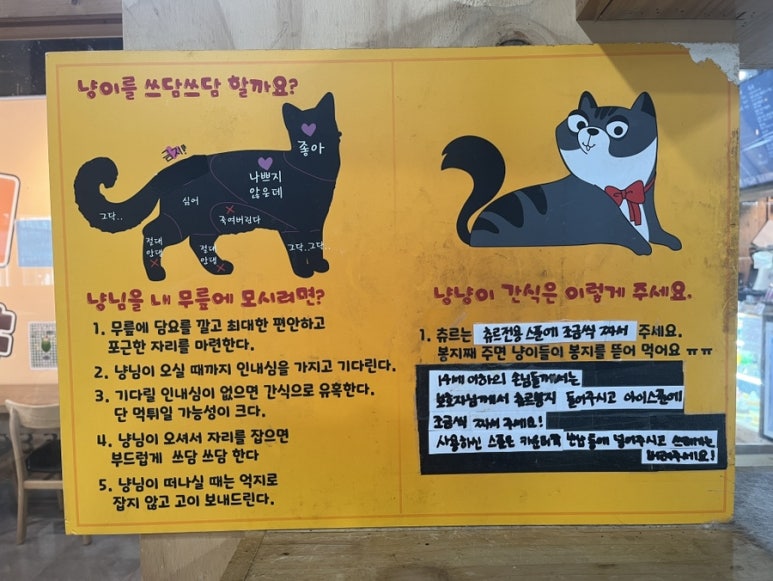 댕댕냥냥부천점 이미지