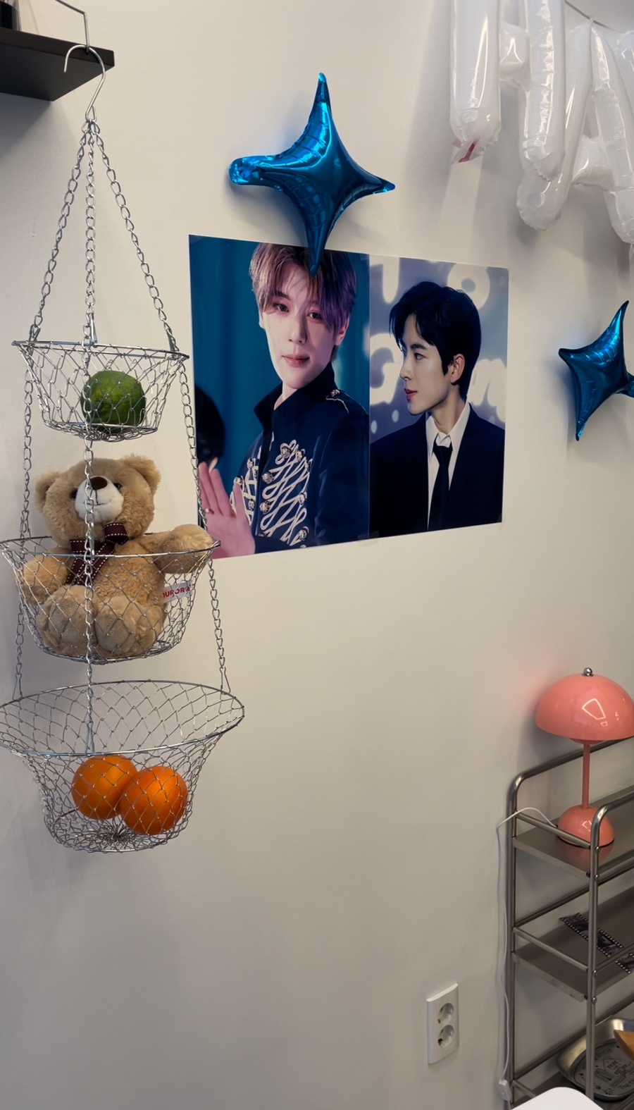 시츠(SITS) 이미지