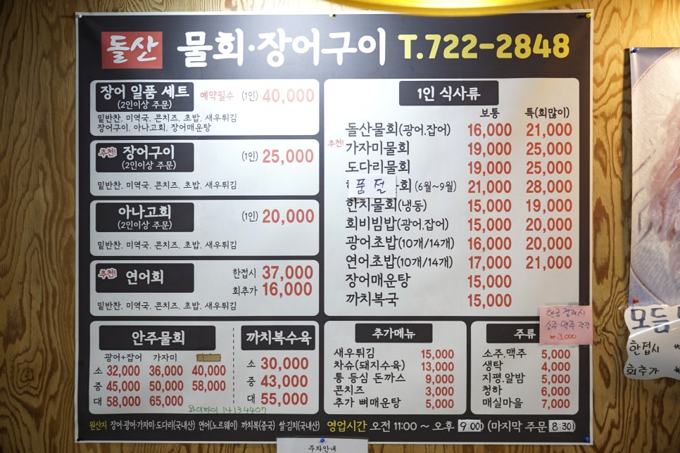 돌산아나고 이미지