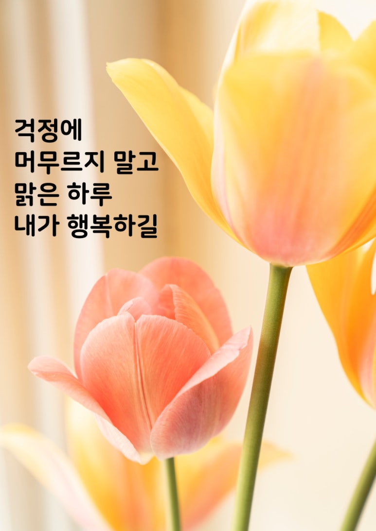 (주) 진솔아이 이미지