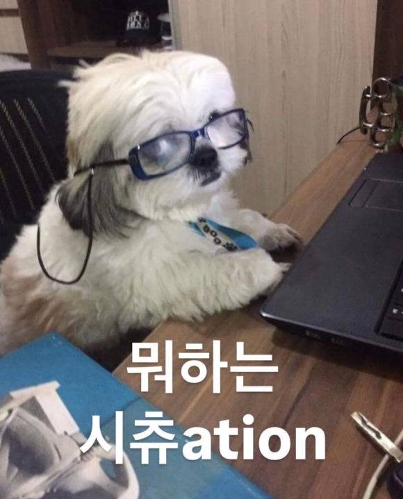 깜냥 이미지
