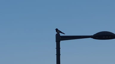 분식코너 이미지