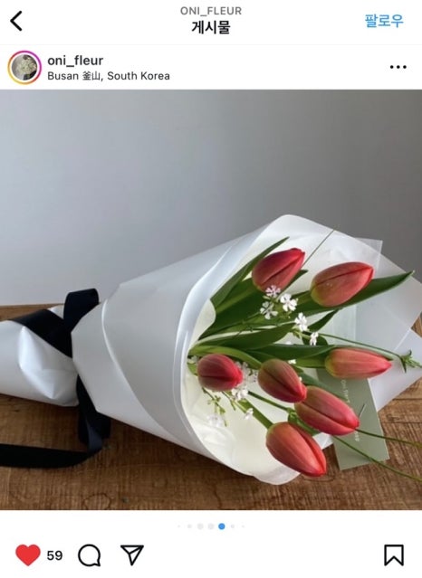 오니플레르 이미지