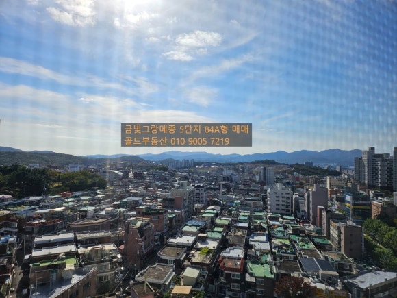 금빛세탁 이미지