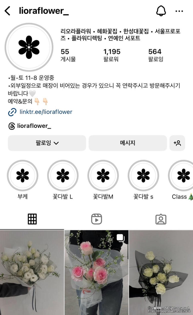 리오라플라워 이미지