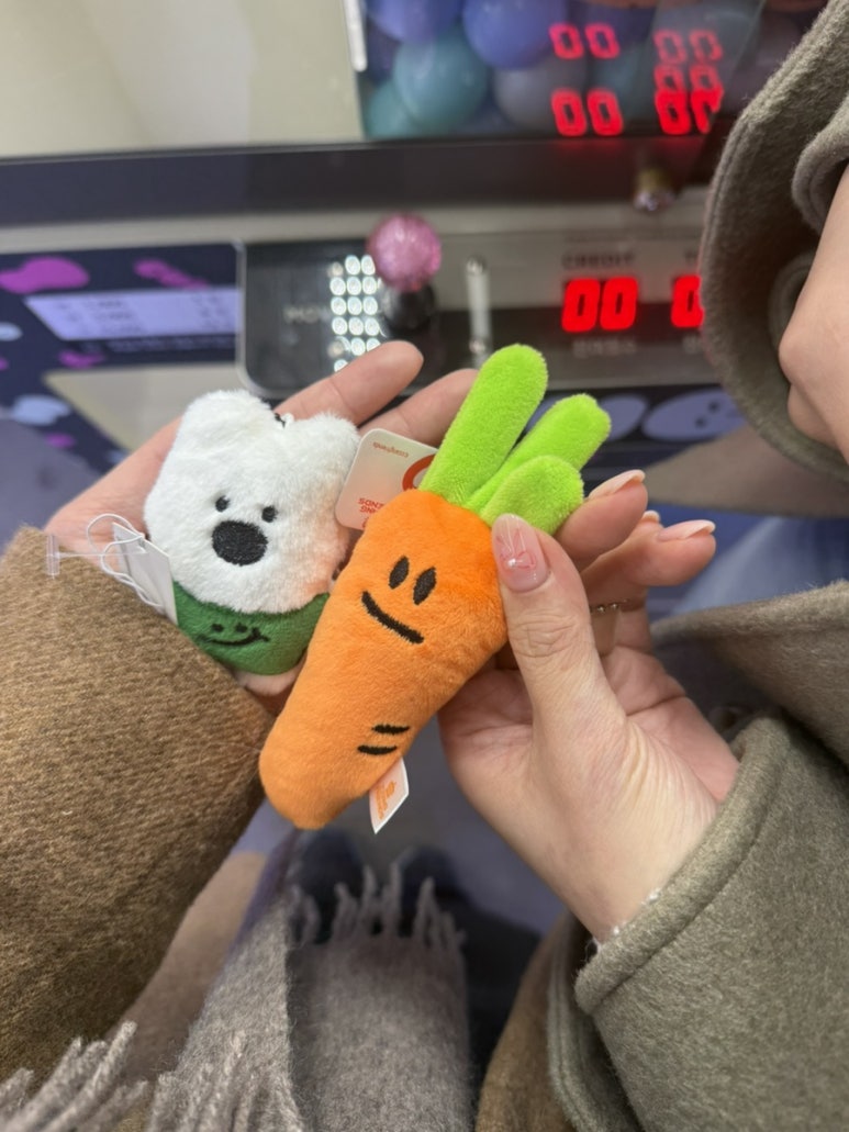 길쭉납짝 이미지