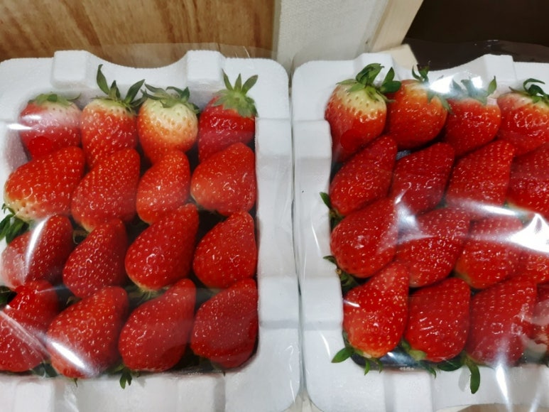 경희천통한의원 이미지