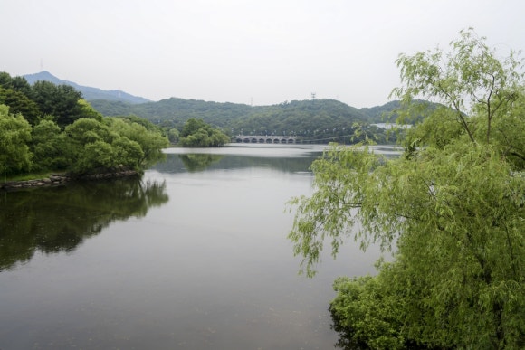 RET 이미지