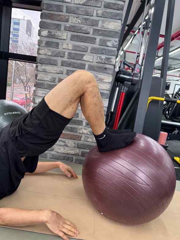 라이프타임피트니스 이미지